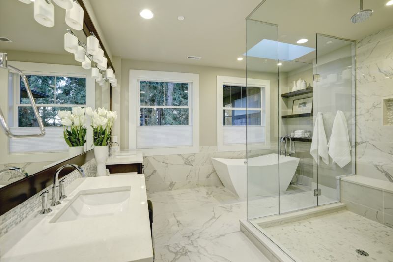 Sleek Shower Enclosures